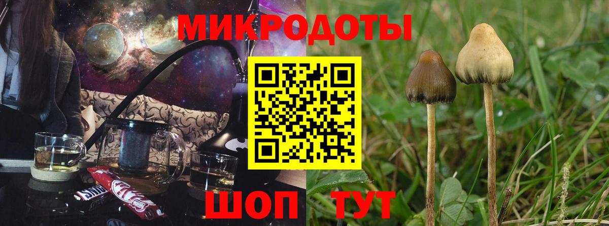 Галлюциногенные грибы MAGIC MUSHROOMS Спасск-Дальний